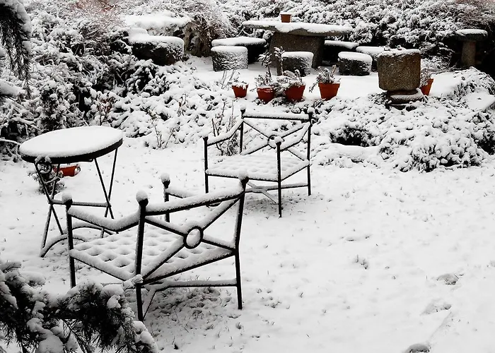 Real La Casa De Arriba